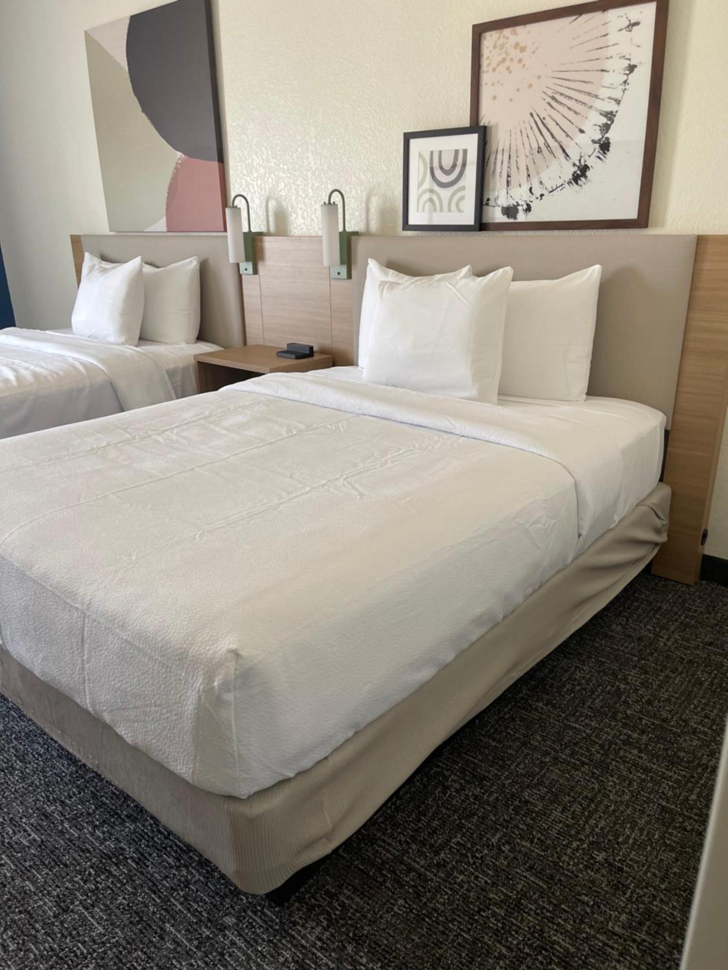Spark By Hilton ברנדון מראה חיצוני תמונה